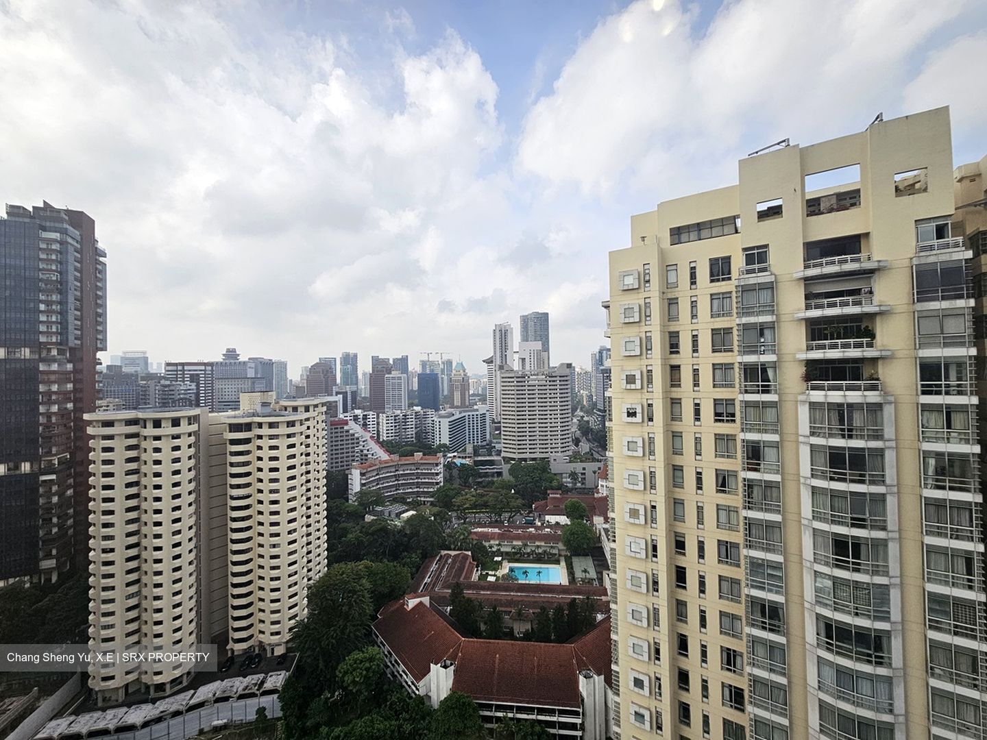 The Scotts Tower (D9), Condominium #425902241